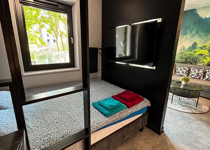 Apartament Lublin Old Town „Jungle Cat”